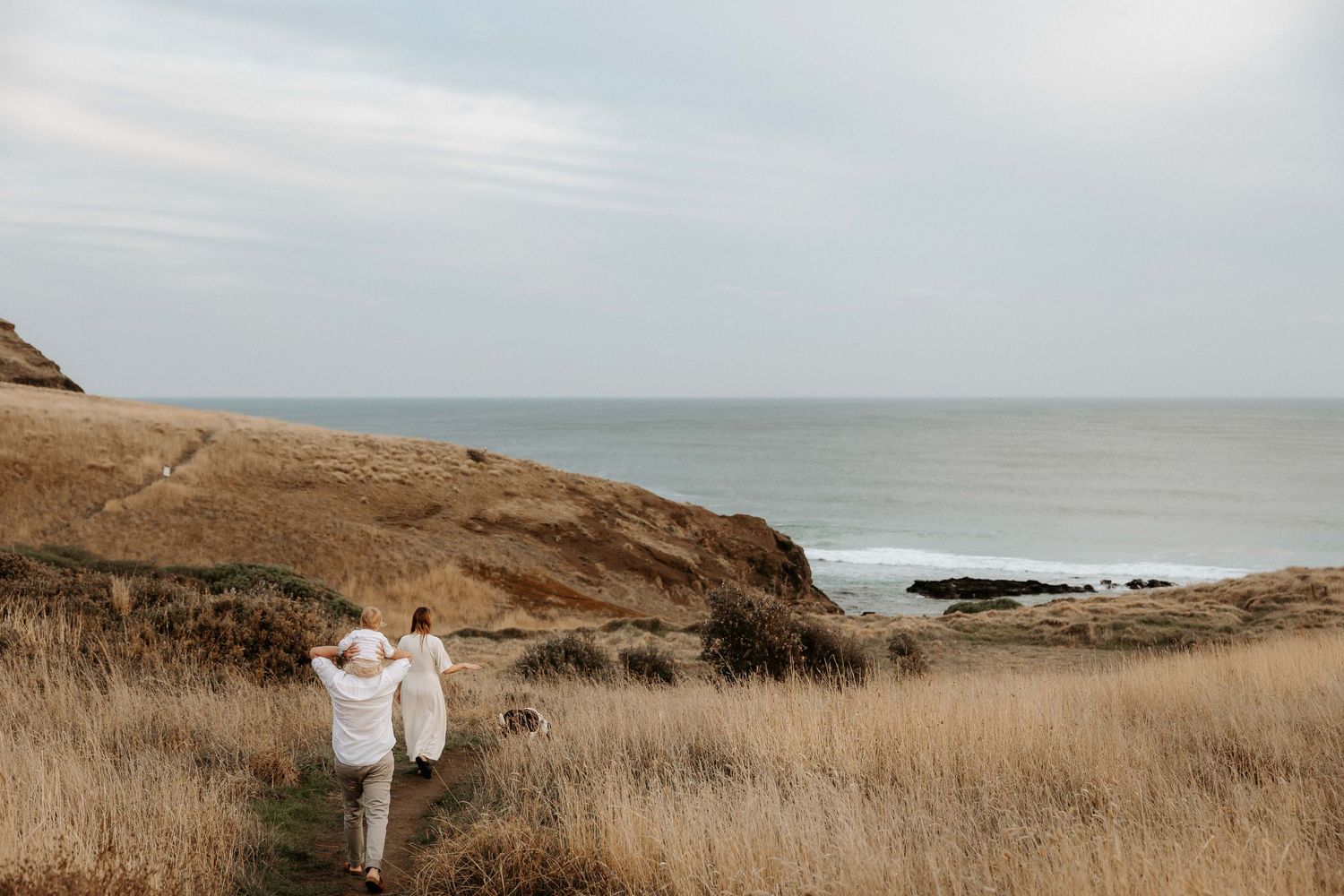 Dreamy coastal landscape collage featuring misty cliffs, ocean views, and golden grasses along a rugged shoreline.
