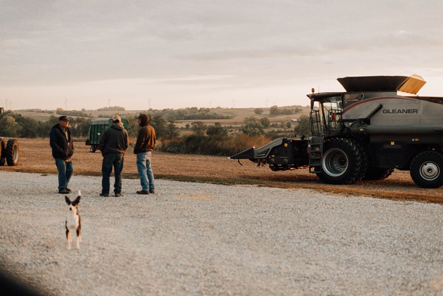 Farm workers gather near combine harvester machinery in a rural field at sunset with a dog.