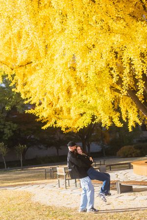 Person relaxing on bench under vibrant yellow autumn ginkgo tree branches in park setting.