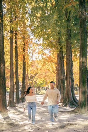 Couple walking hand in hand down a tree-lined path with golden autumn foliage creating a warm, romantic atmosphere.