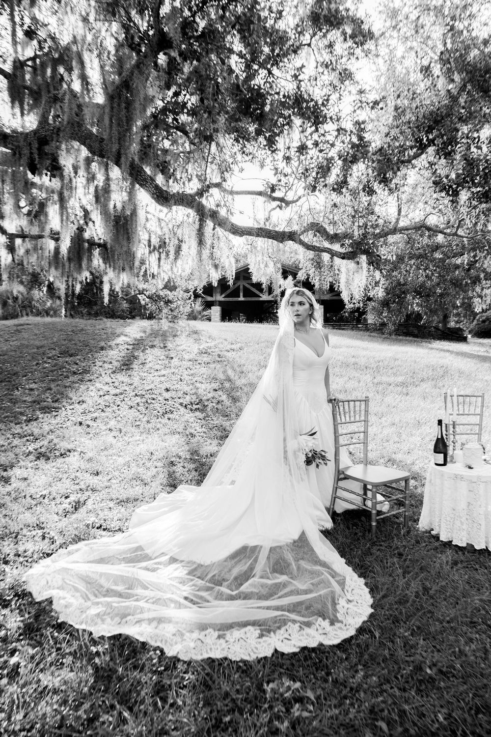 A flowing white wedding dress cascades across a grassy lawn beneath Spanish moss-draped oak trees in black and white.
