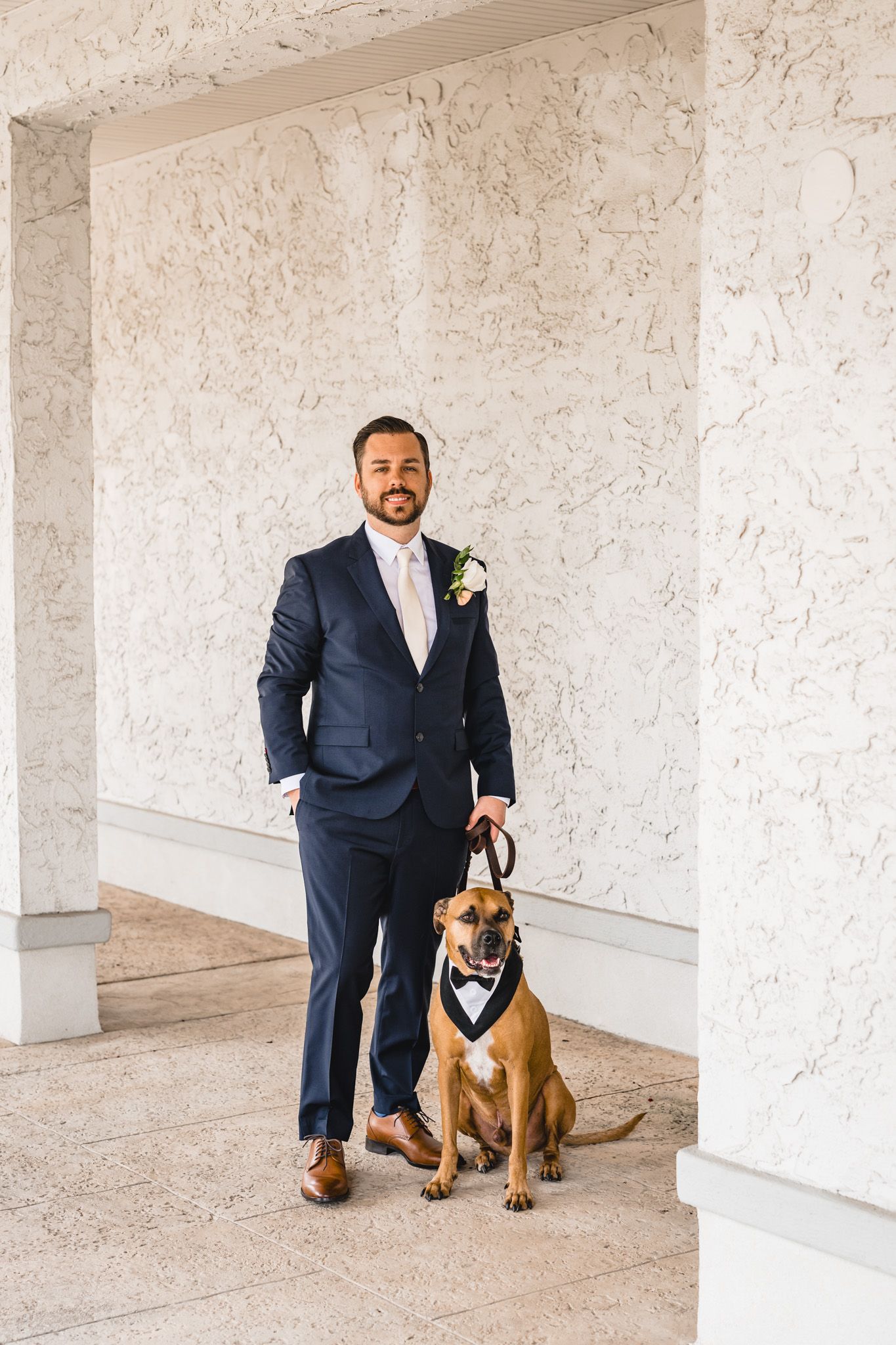 A groom in navy suit poses with a brown dog wearing a formal bowtie collar.