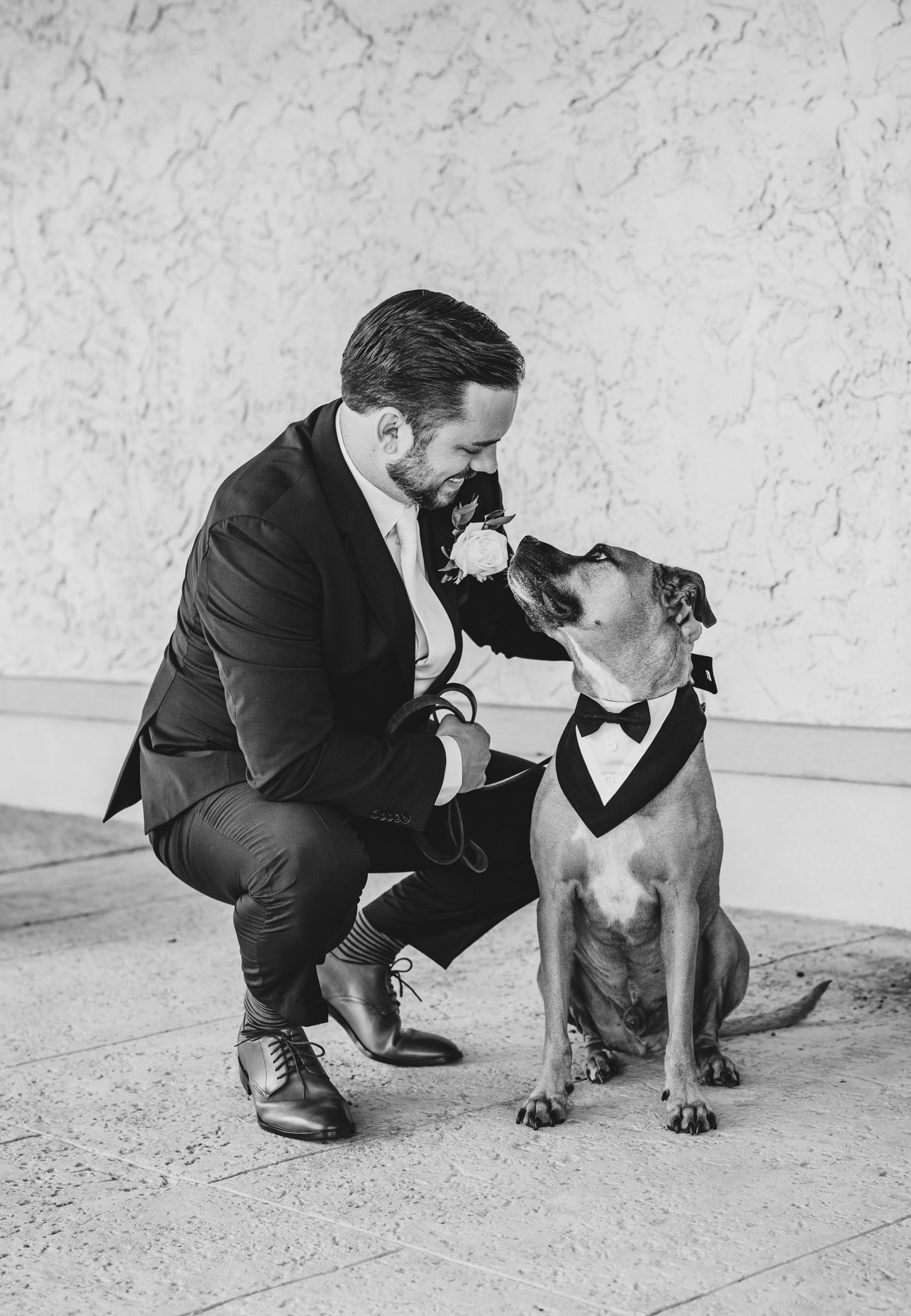 Black and white portrait of a groom kneeling beside a dog wearing a bowtie.