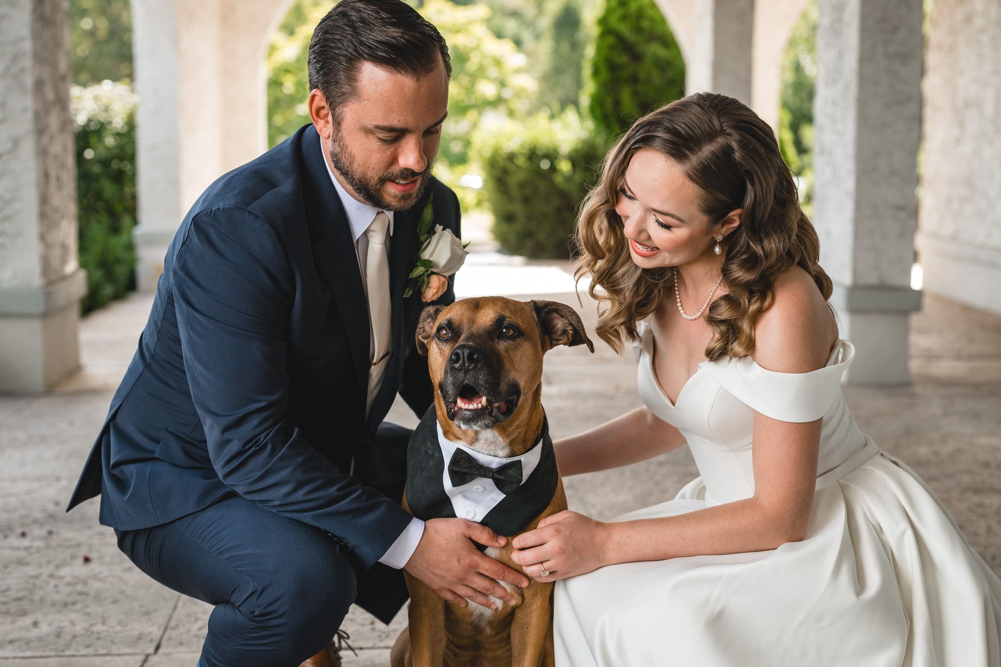 A couple in wedding attire kneels down to pet their dog during their wedding celebration.