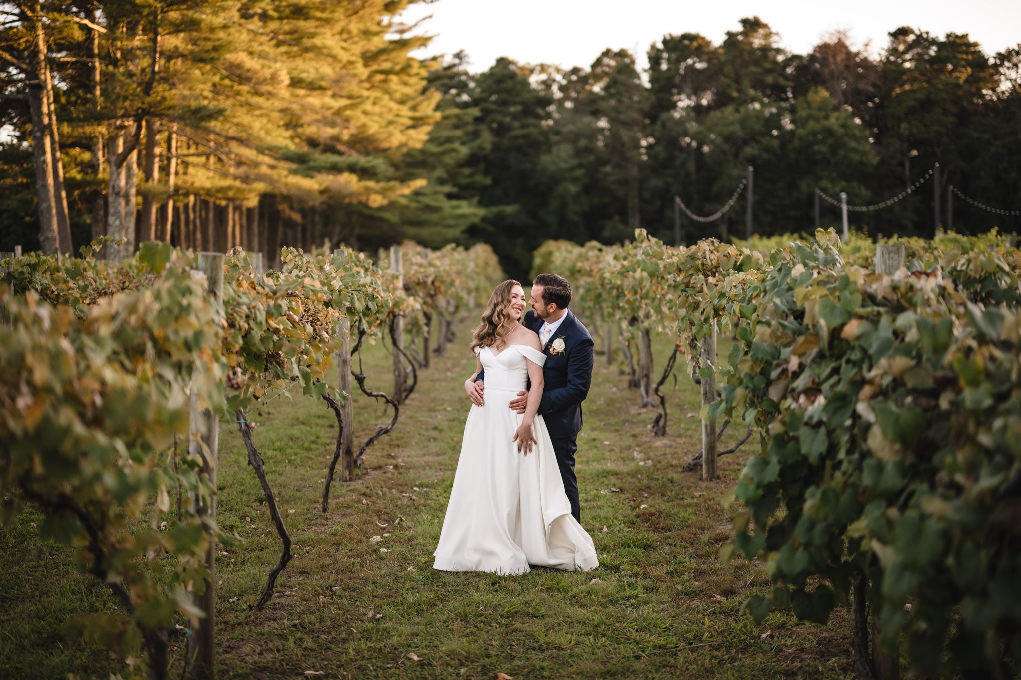 A couple shares a romantic moment in a vineyard during golden hour.