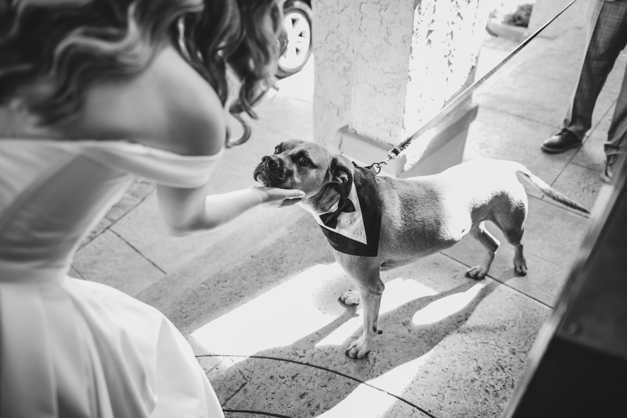 A black and white photo of a dog on a leash being walked on a sidewalk.