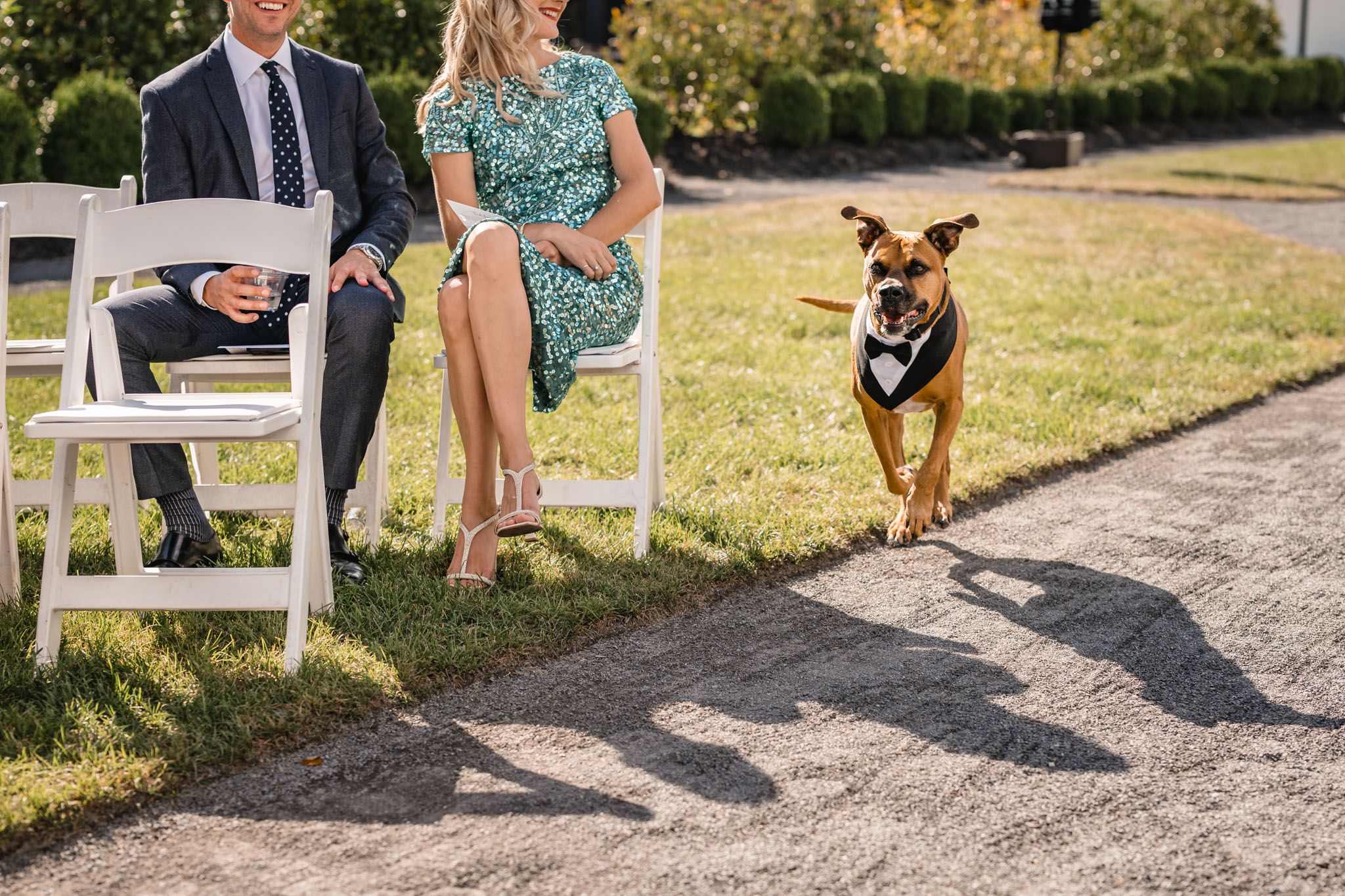 Wedding ceremony setup with white chairs and guests on a gravel pathway.