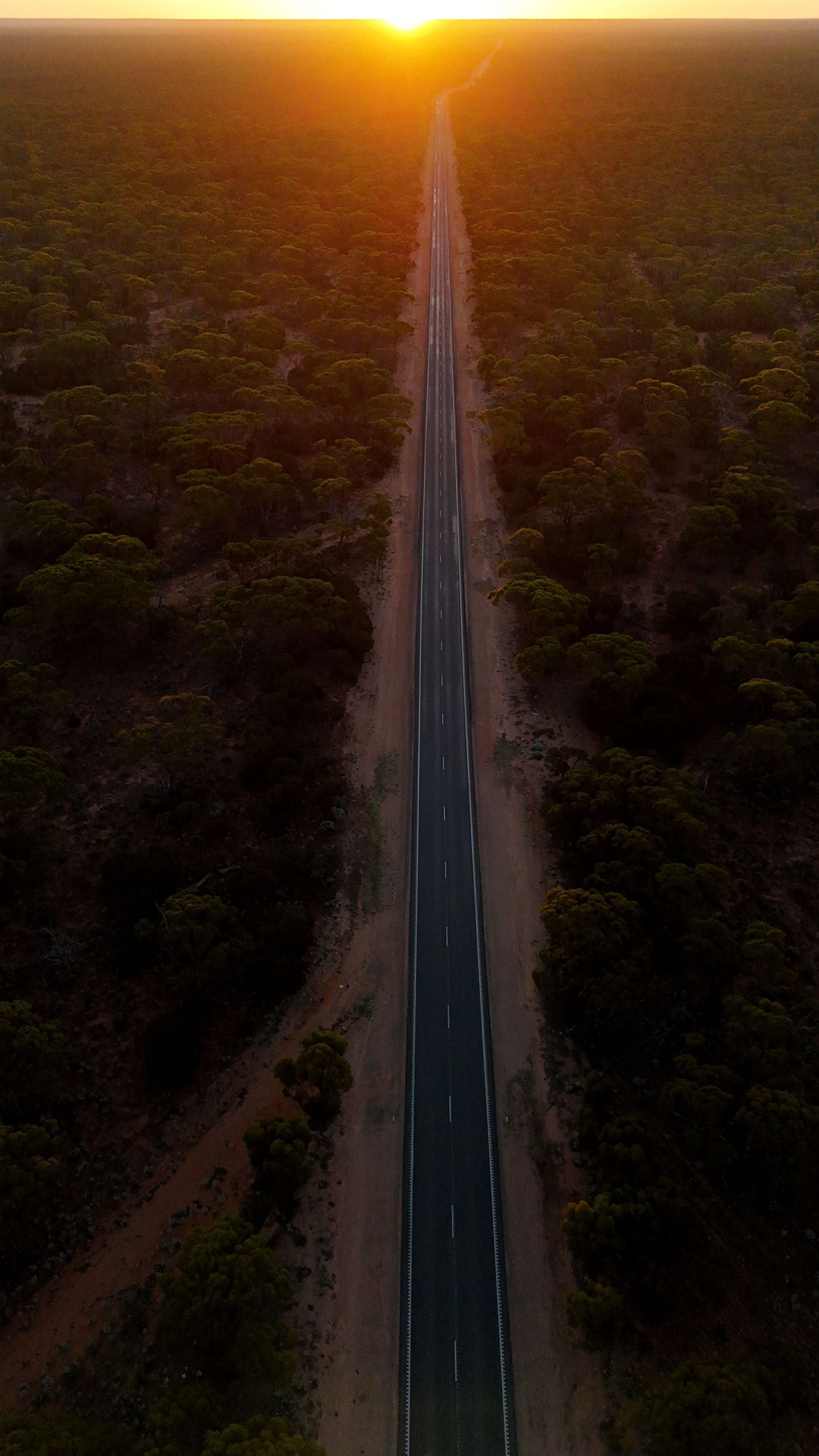 Aerial drone shots of a straight highway stretching through dense forest at sunset with changing light conditions.