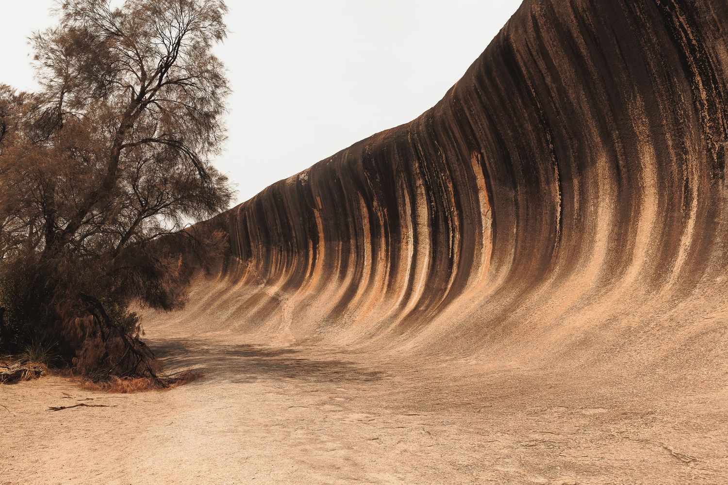 Wave Rock in Western Australia features a dramatic natural granite cliff formation with distinctive curved striations.