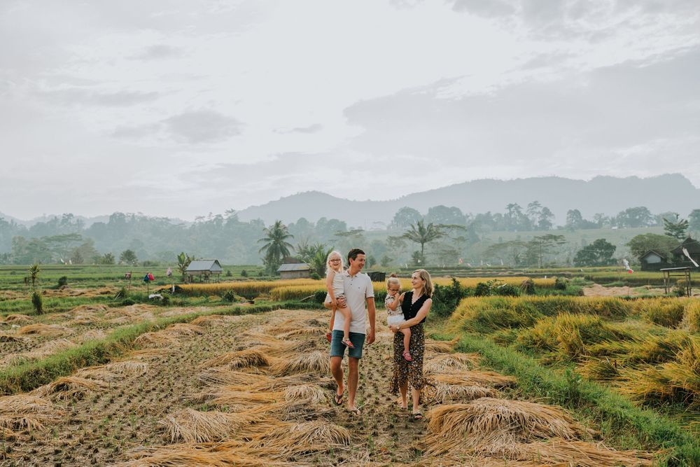 Walking along rural path through rice fields with mountains and palm trees in the background.