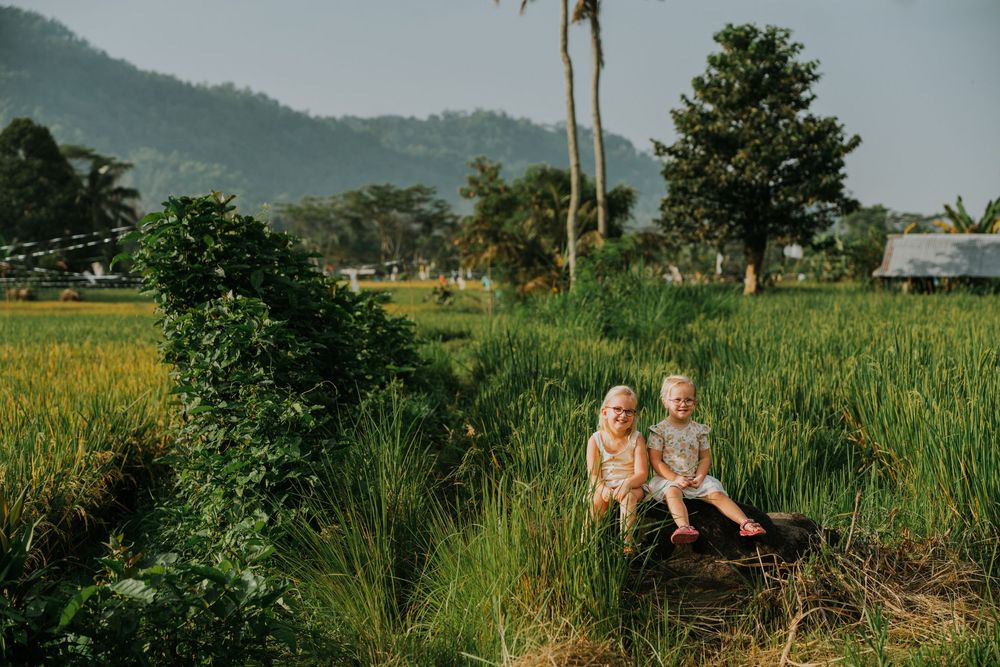 A family walks through lush green rice terraces with palm trees and mountains in the background.