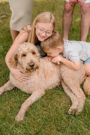 A goldendoodle dog lies in the grass while being petted by family members.