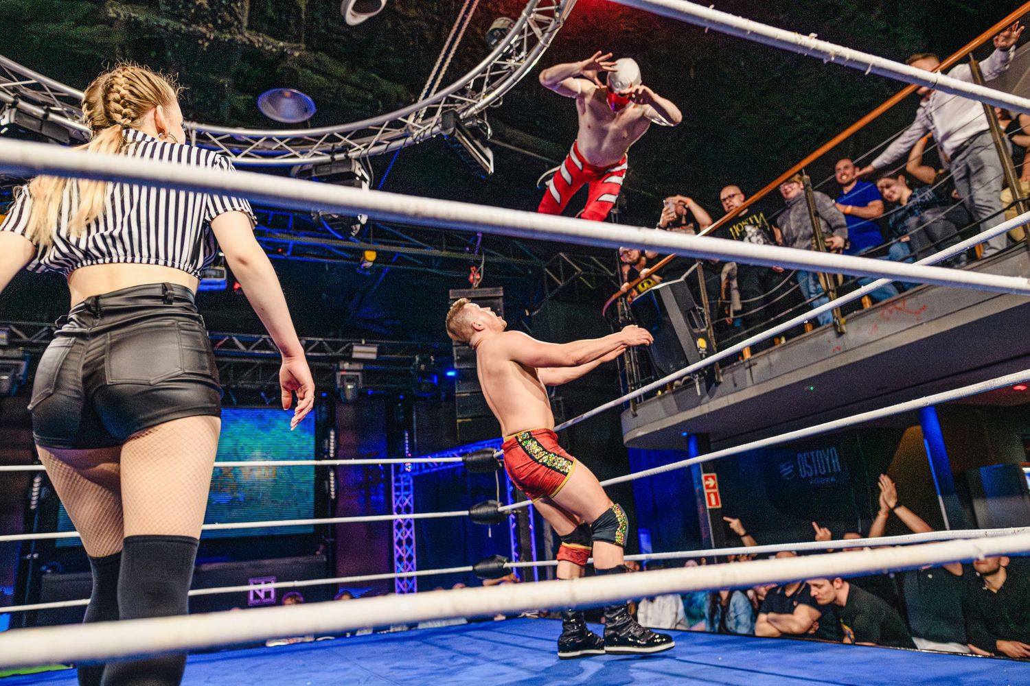 Professional wrestlers