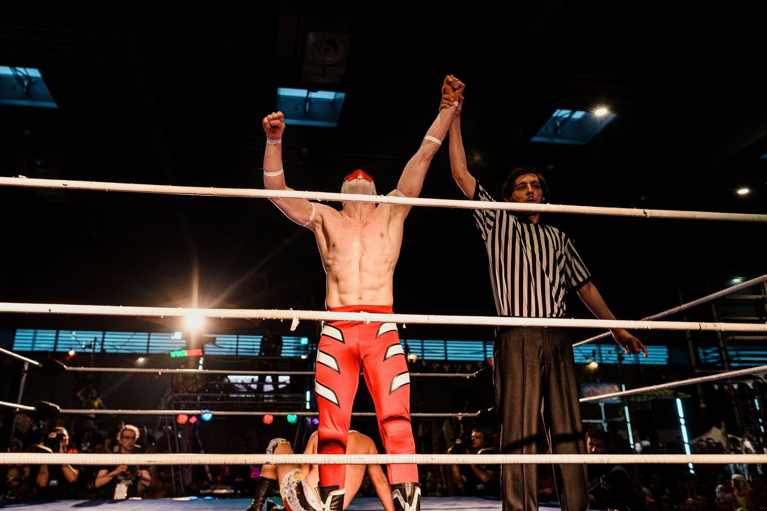 Professional wrestlers