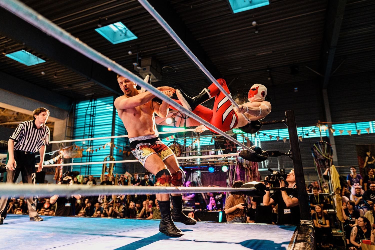 Professional wrestlers
