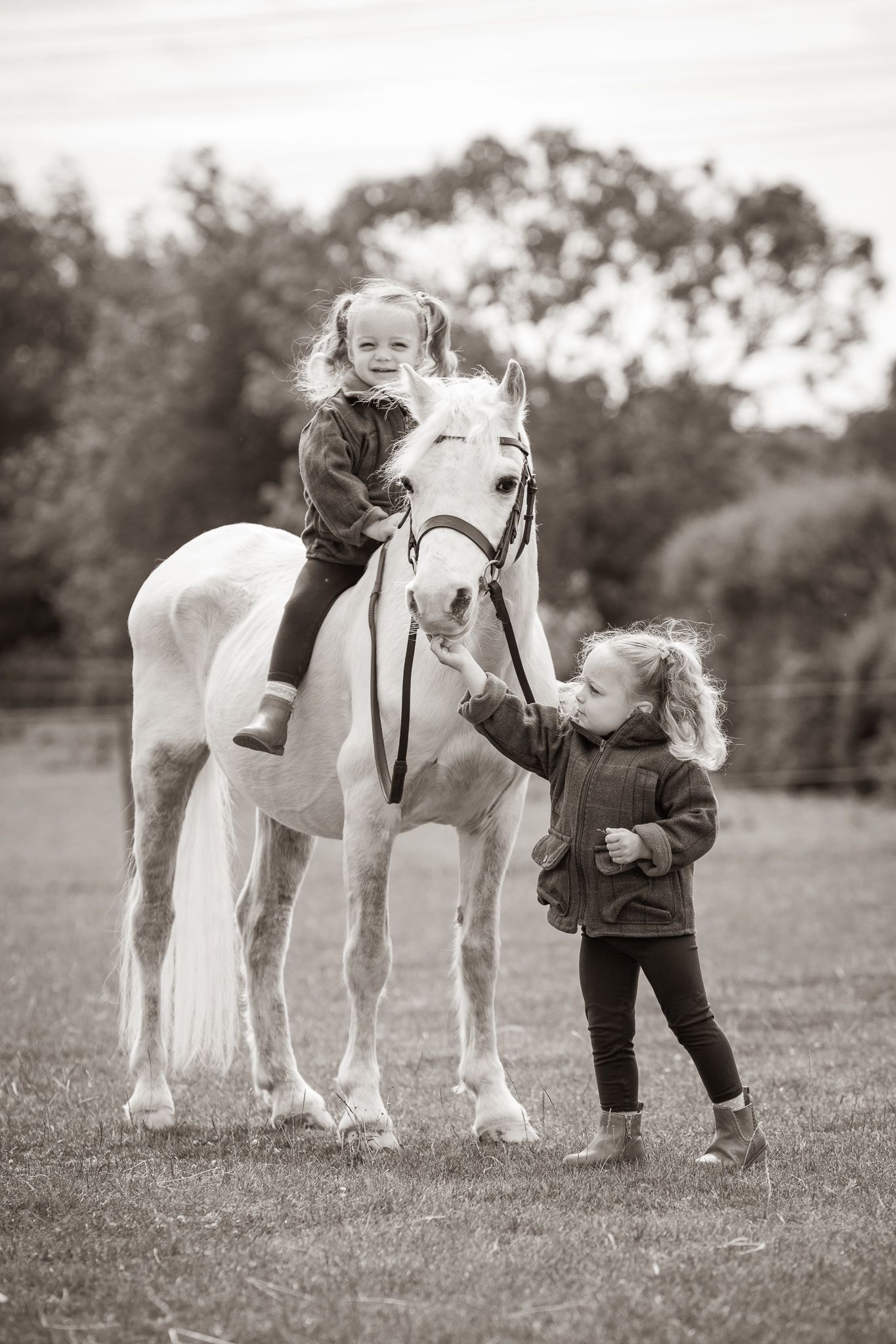 Young girl in denim overalls embraces a palomino horse in a sun-dappled forest setting.