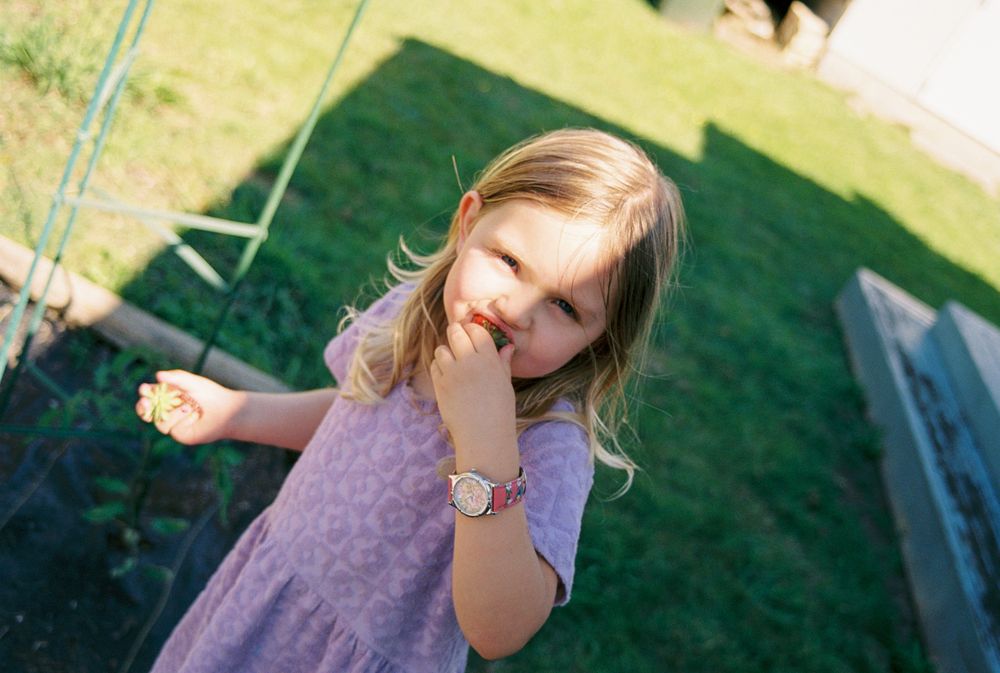 A candid photo session taking place in a backyard with a wooden fence and greenery.