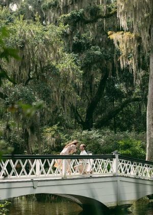 A romantic scene on a white bridge surrounded by Spanish moss draped trees.