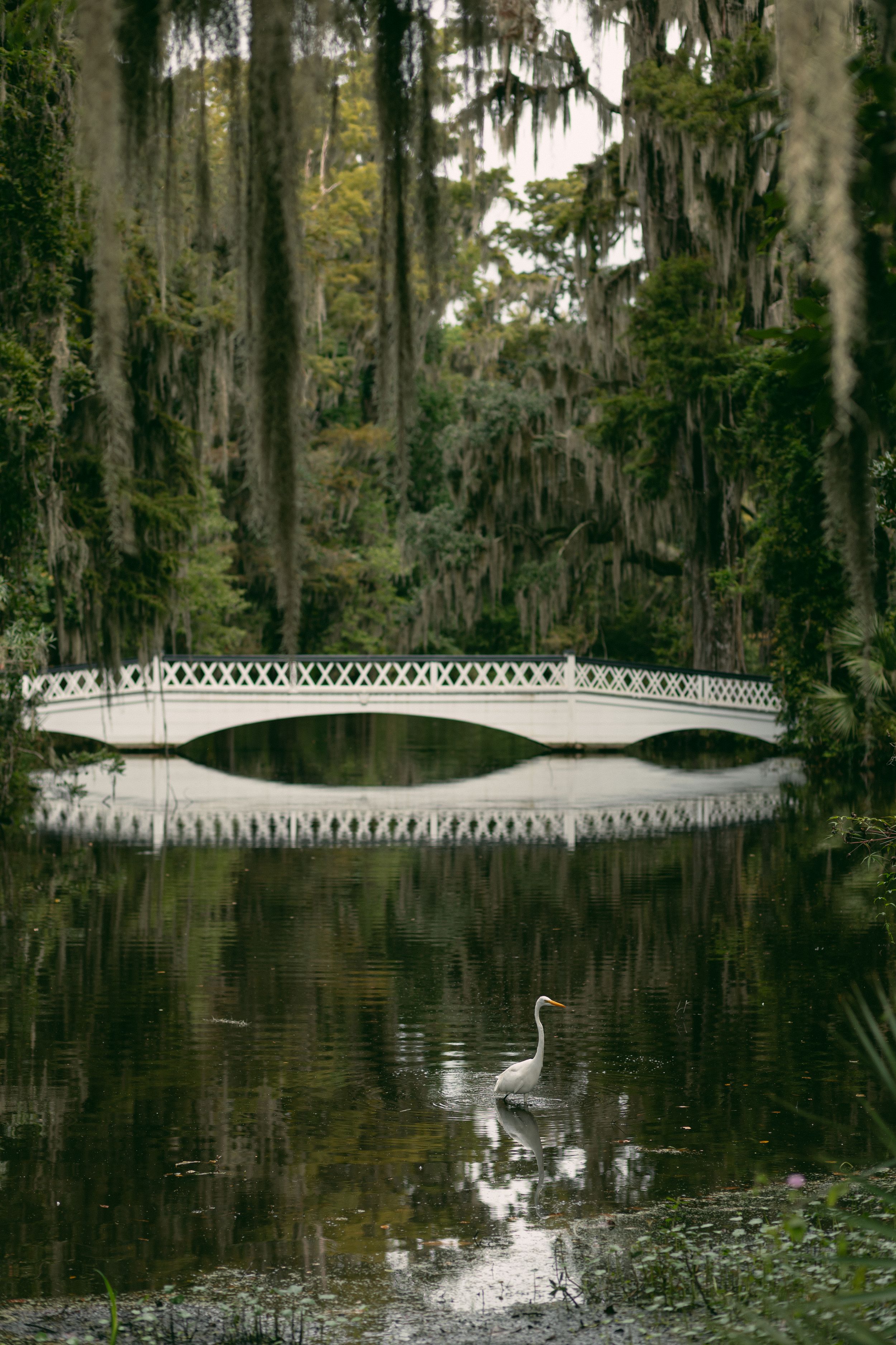 A white ornate bridge reflects in still waters with a lone egret in a mossy Southern landscape.