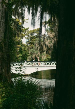 A white decorative bridge spans across dark waters framed by Spanish moss covered trees.