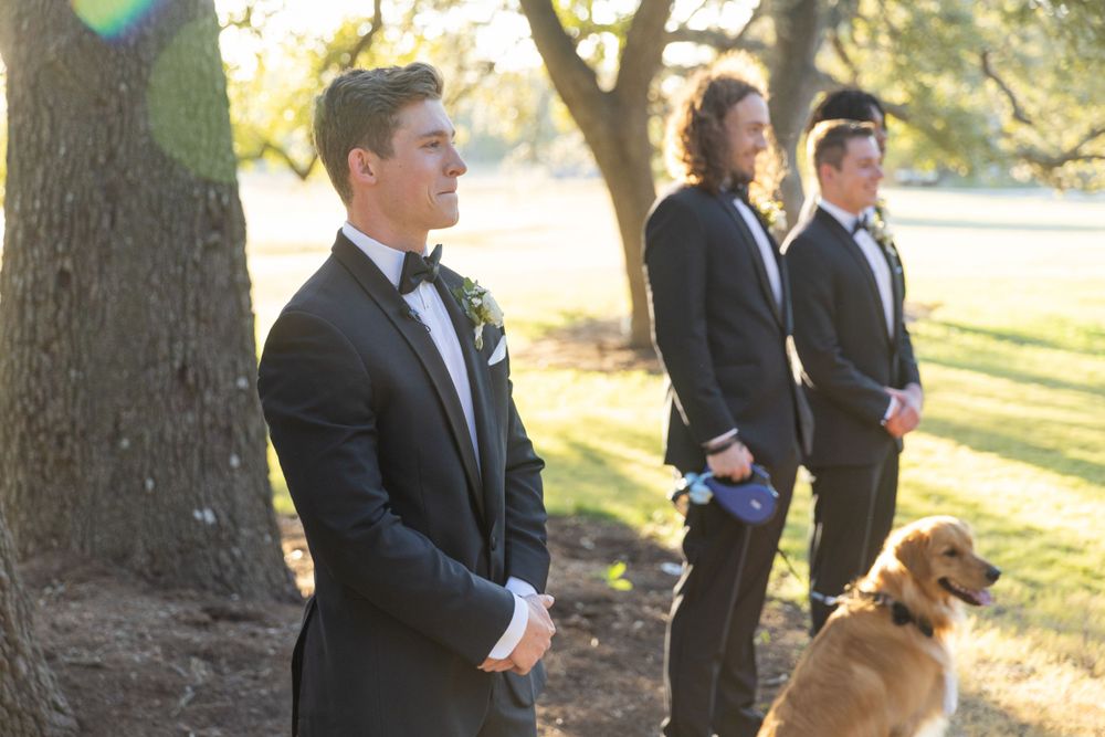 Wedding party members in formal attire standing by tree with golden sunlight and dog in background.