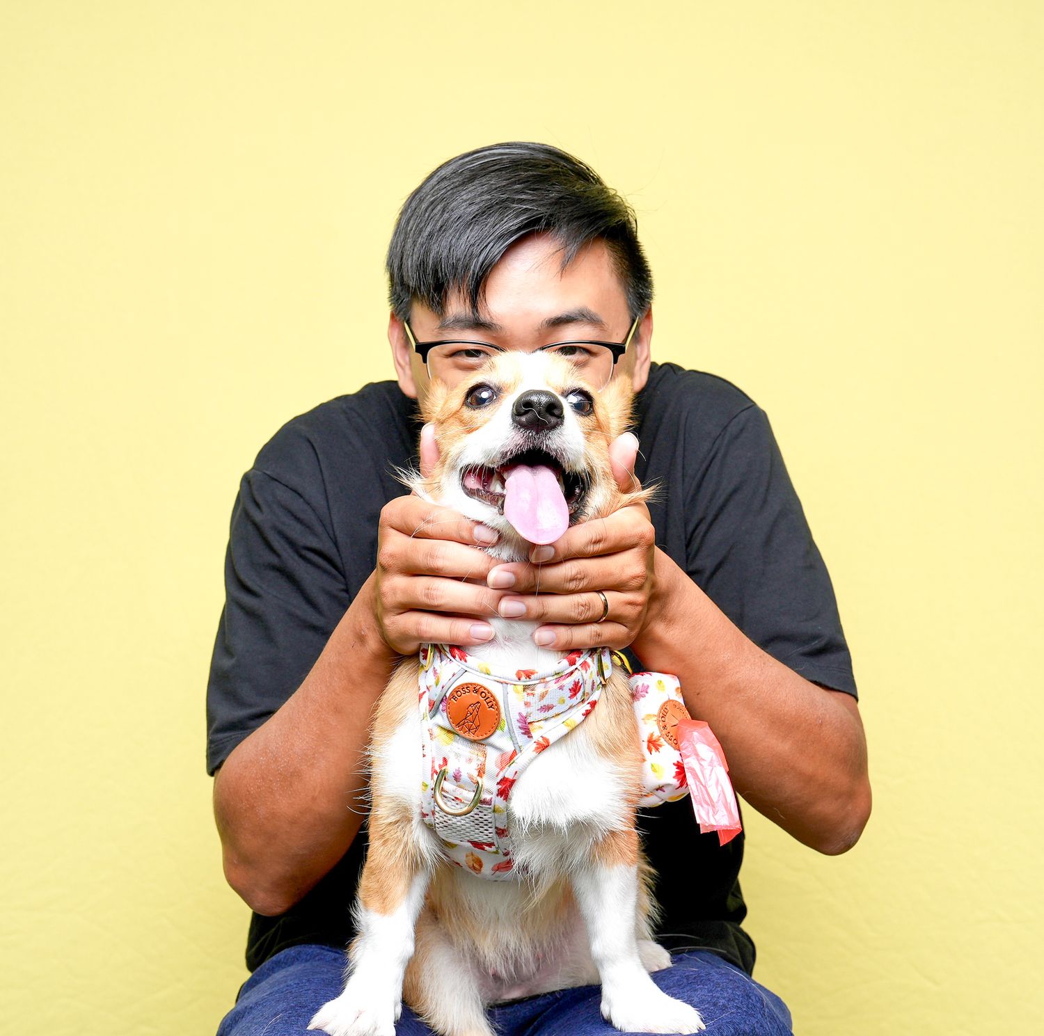 A happy white and brown dog being held up against a yellow wall while wearing a decorative shirt with red accents.