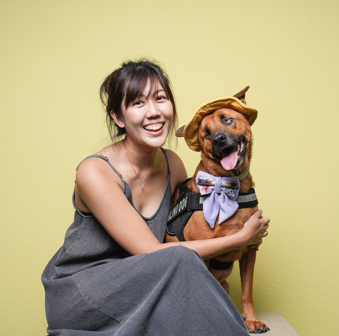 Happy portrait of a person in a sleeveless dress with their adorable brown dog wearing a bowtie against yellow backdrop.