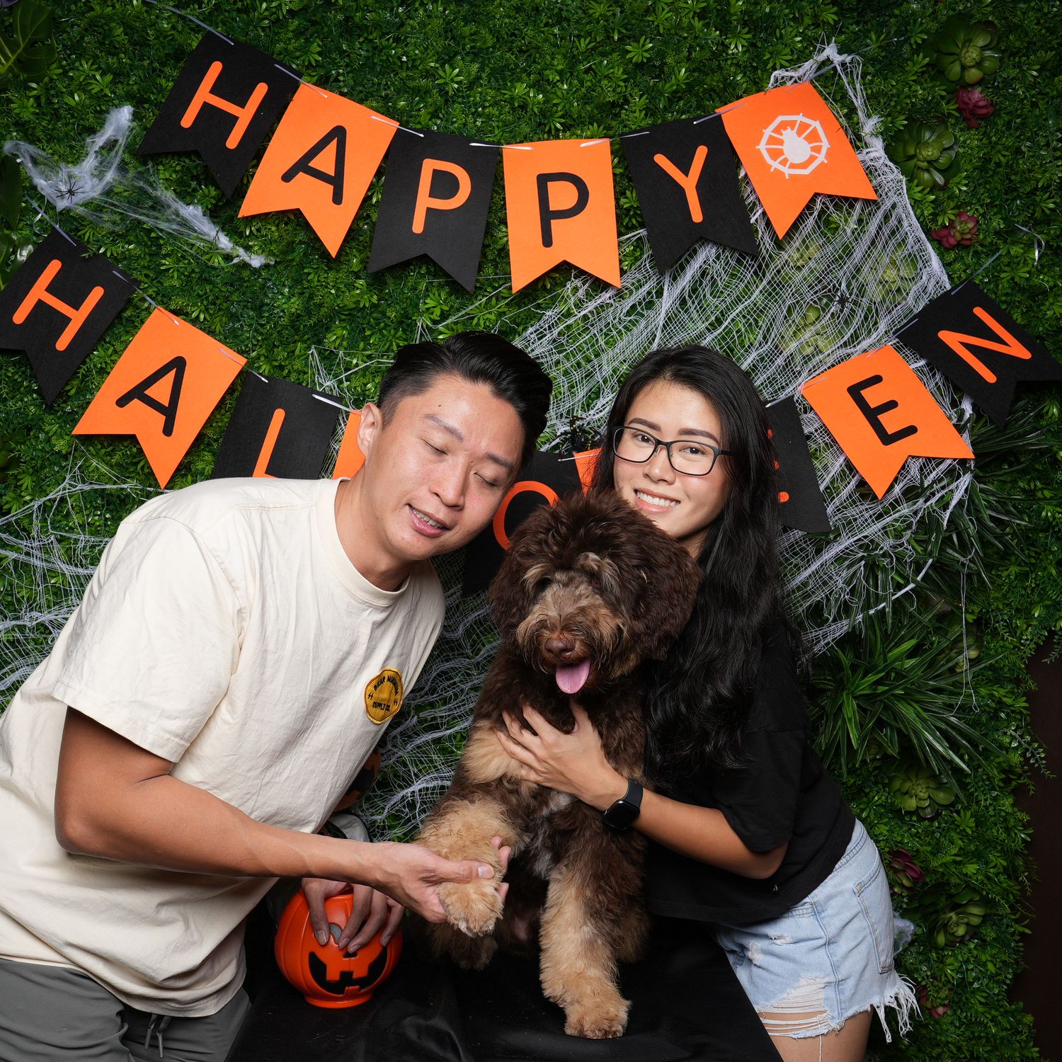 Halloween portrait with a brown terrier mix dog against a green backdrop with orange holiday banner decorations.