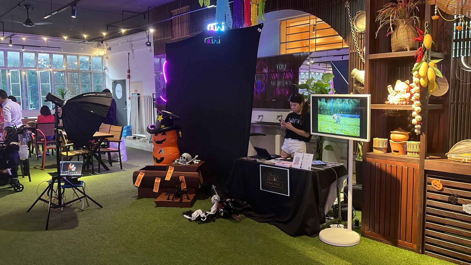 Digital media studio setup with artificial grass flooring, professional lighting, cameras, and streaming equipment.