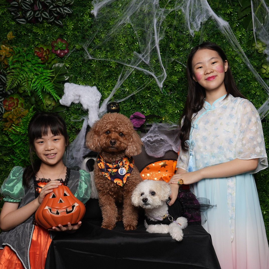 A Halloween scene with people and costumed dogs posing with jack-o-lanterns and spooky cobweb decorations in a festive setting.
