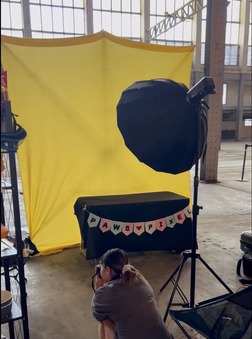 Photography setup with yellow backdrop and lighting equipment arranged for portrait session in industrial space.