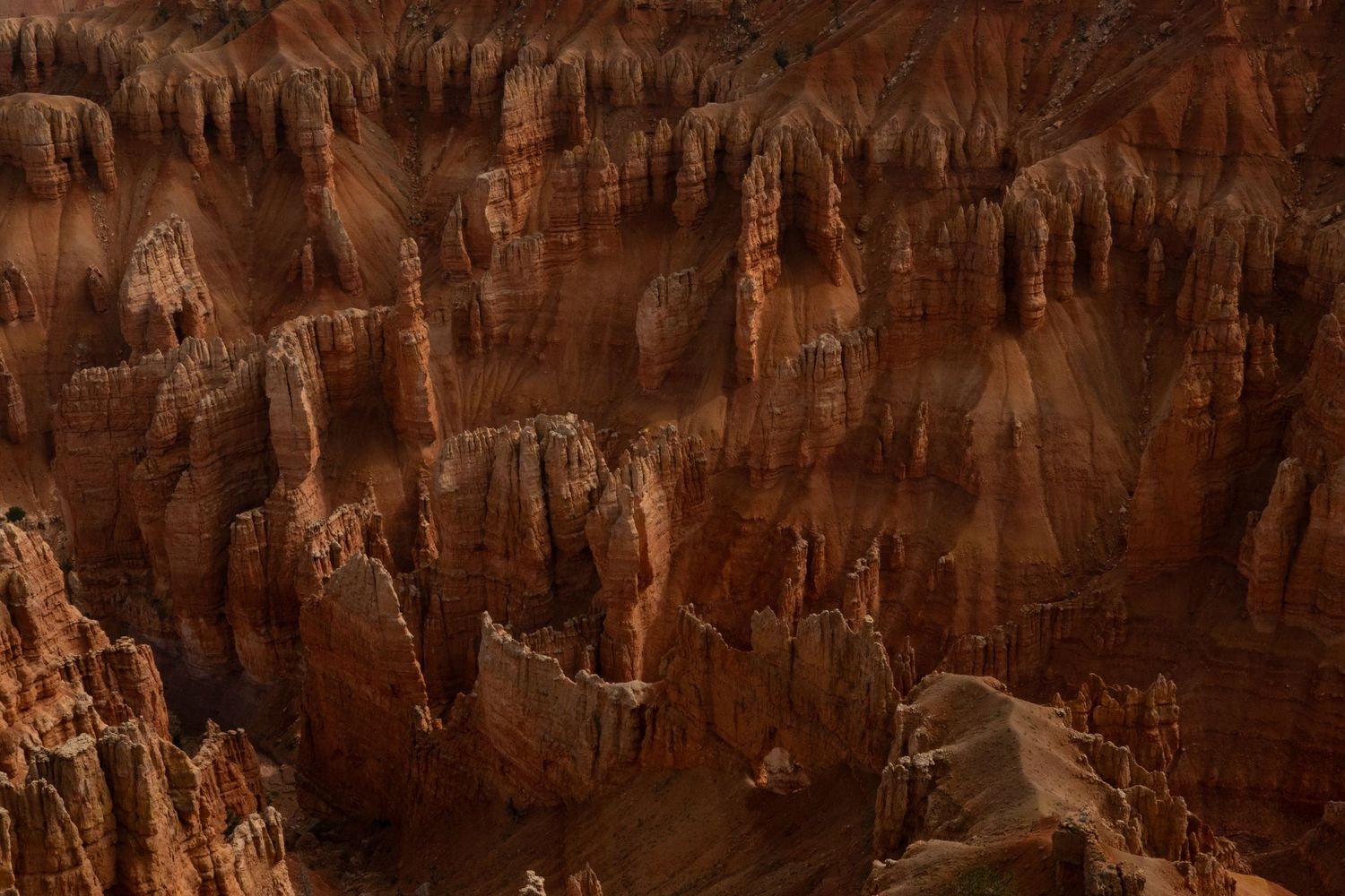 Cedar Breaks National Monument, Utah