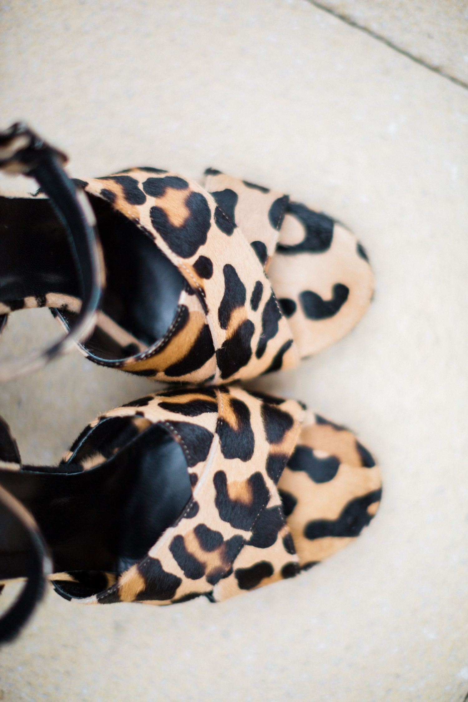 A pair of leopard print ballet heels with black trim viewed from above on a light coloured floor at Whitepoint Resort, Nova Scotia