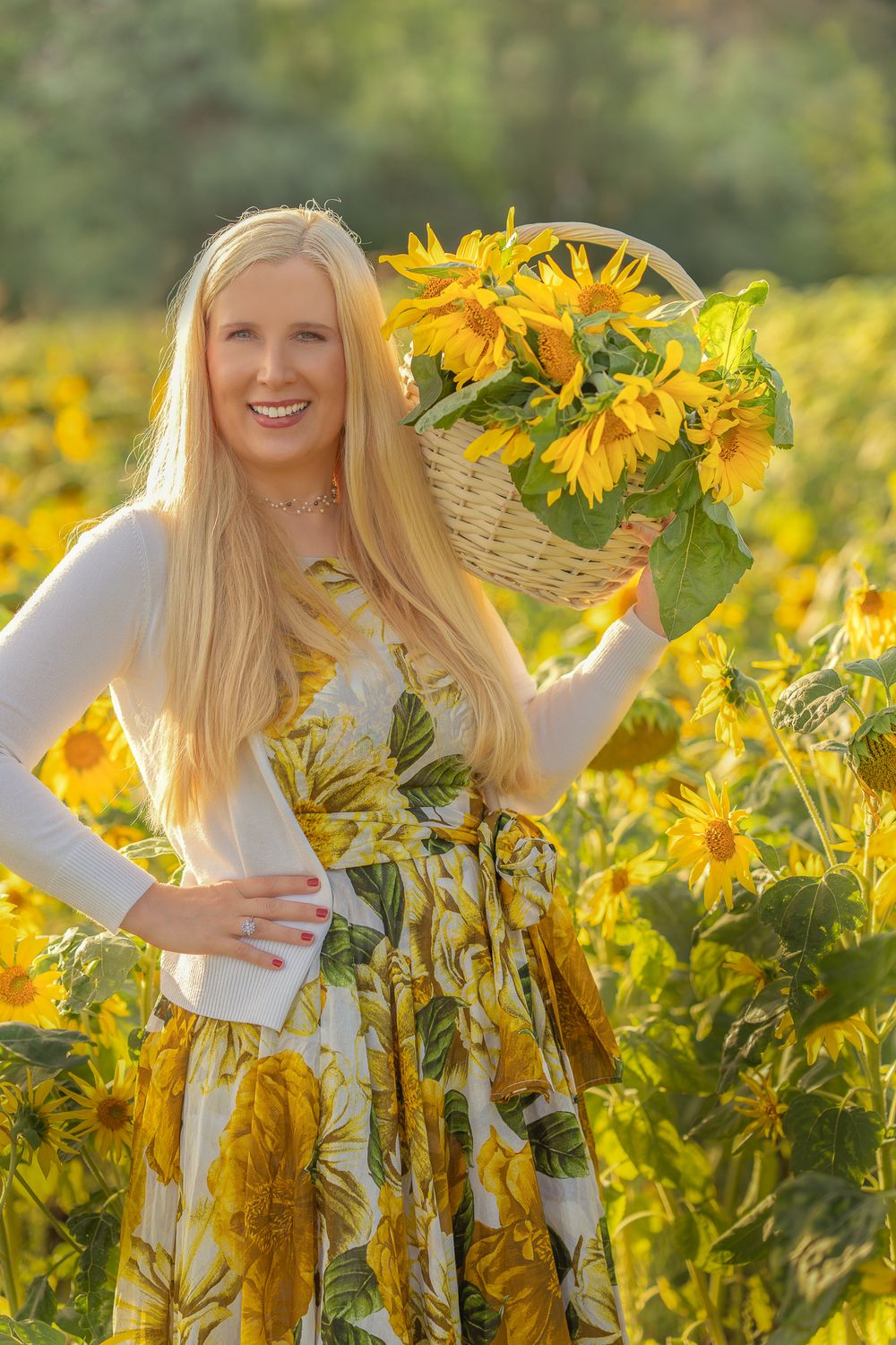 Sunny sunflower field with a beauty portrait of a woman win floral dress and basket of freshly picked sunflowers.