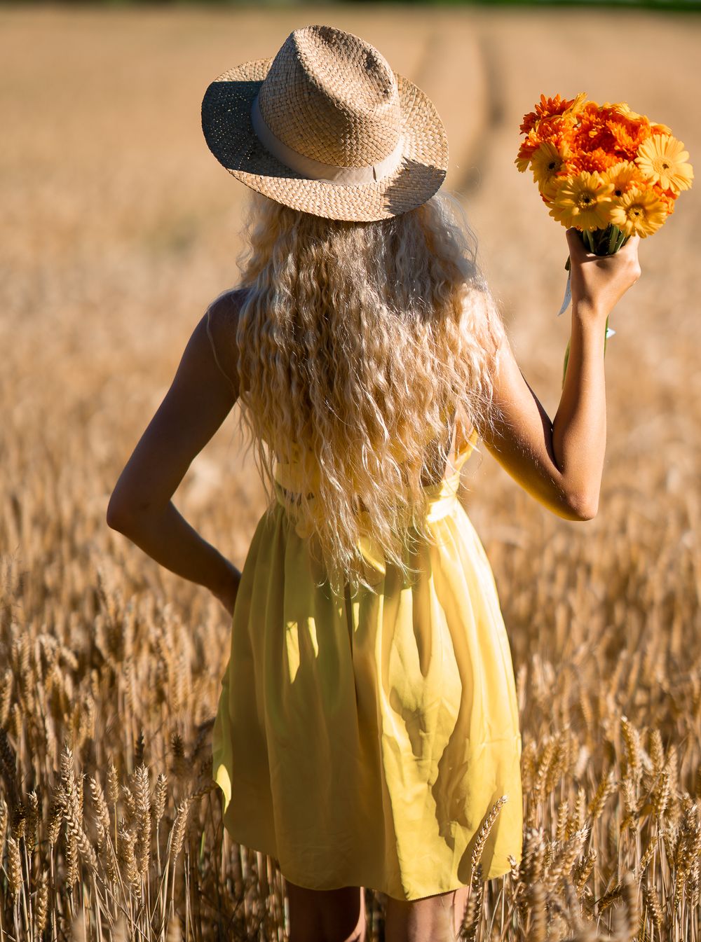 Beauty Portrait of a woman in yellow sundress and straw hat holds orange flowers while standing in golden wheat field at sunset.