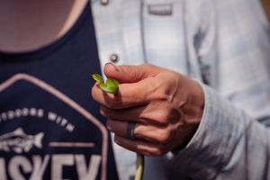 Close-up view of hands holding a small green seedling in focus.