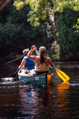 Two people paddling a green canoe on a calm river under overhanging tree branches on a summer day.