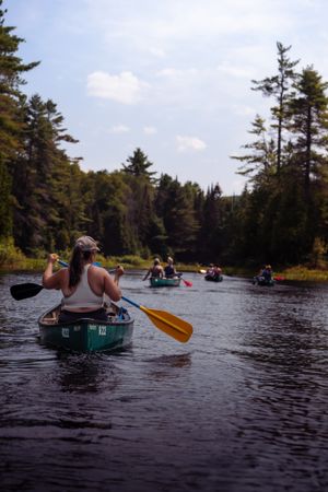 Kayakers paddle through a serene forest lake surrounded by tall pine trees on a summer afternoon.