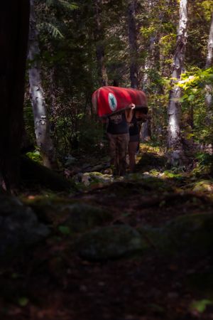 Hiker carrying red canoe through dark forest trail between birch trees in late afternoon light.