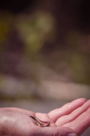 A small wedding ring rests in an open palm against a dark blurred background.