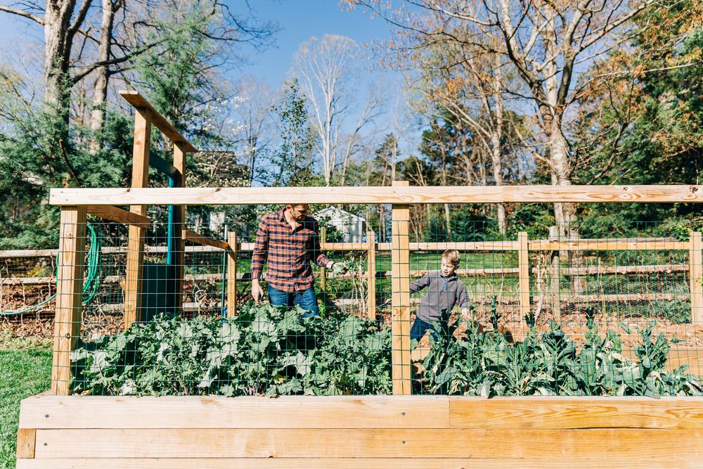 A long wooden fence with horizontal rails stretches across a sunny yard with trees in the background of a garden in Charlotte, NC.