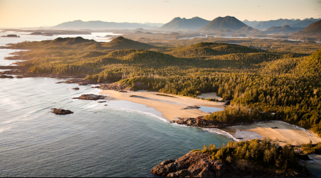 ariel photo of Radar Beach in Tofino with the forest and mountains behind