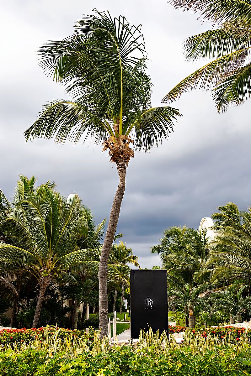 Tropical garden landscape with palm trees and yellow flowers under cloudy skies at a luxury resort.