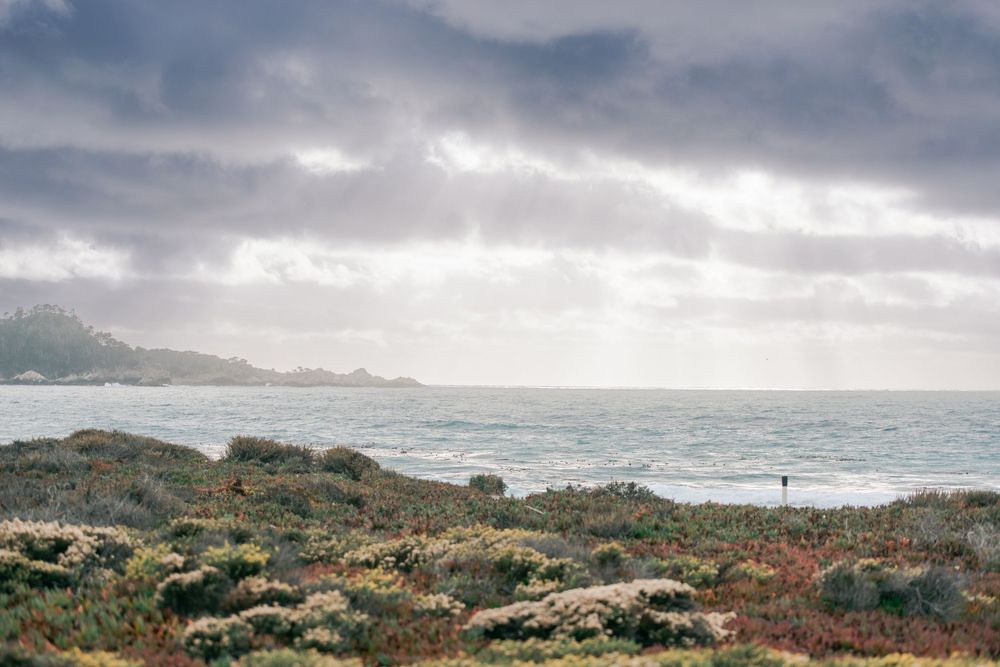 Carmel by the Sea family photographer