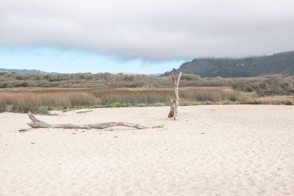 Carmel by the Sea family photographer