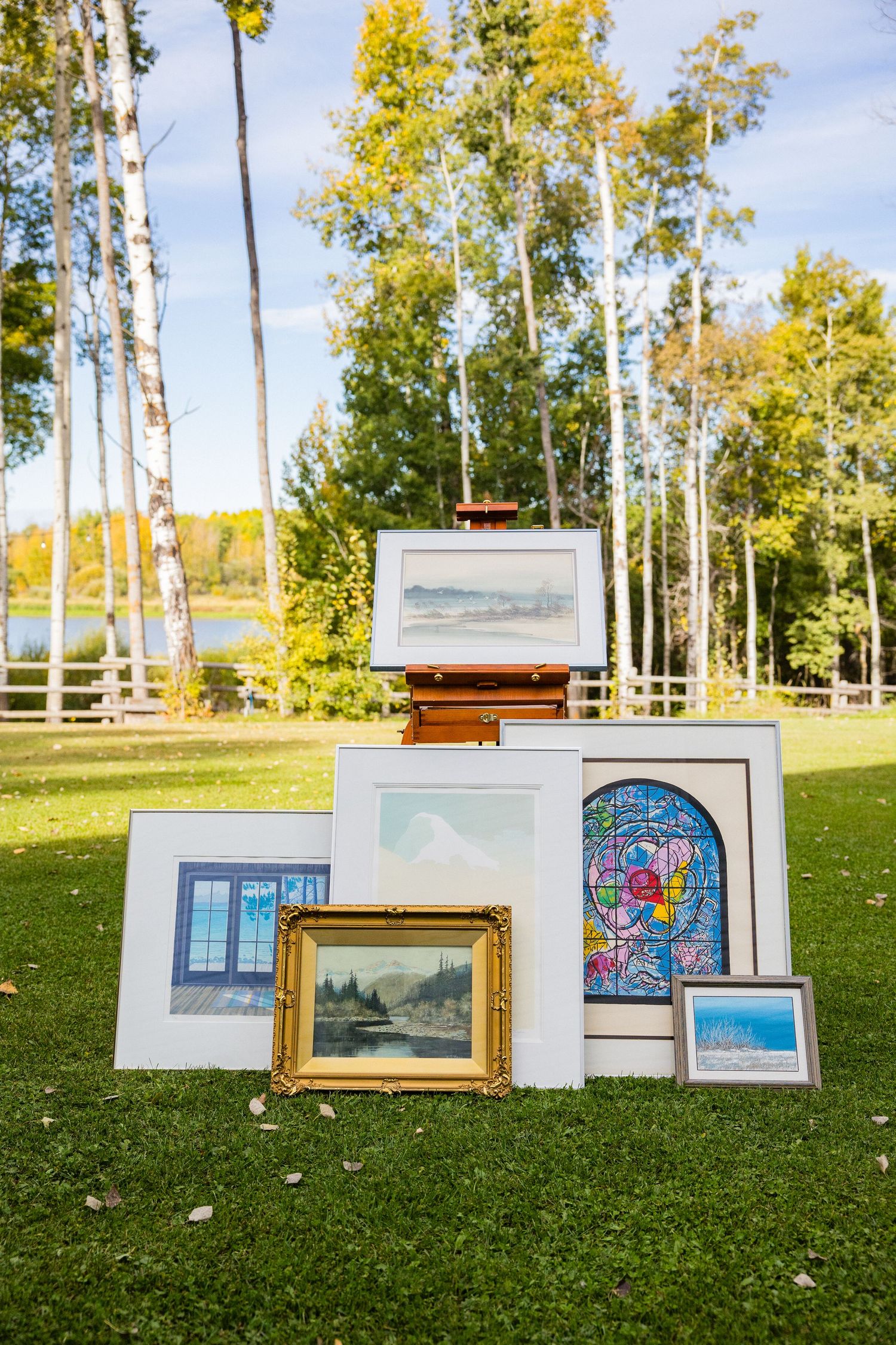 Multiple framed paintings displayed on green grass outdoors near birch trees and a lake.
