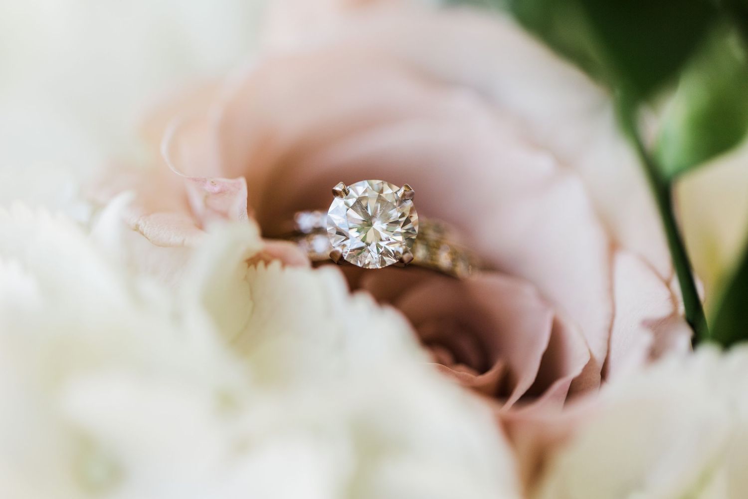 A close-up of delicate pink roses with soft petals and a blurred background creates a romantic atmosphere.
