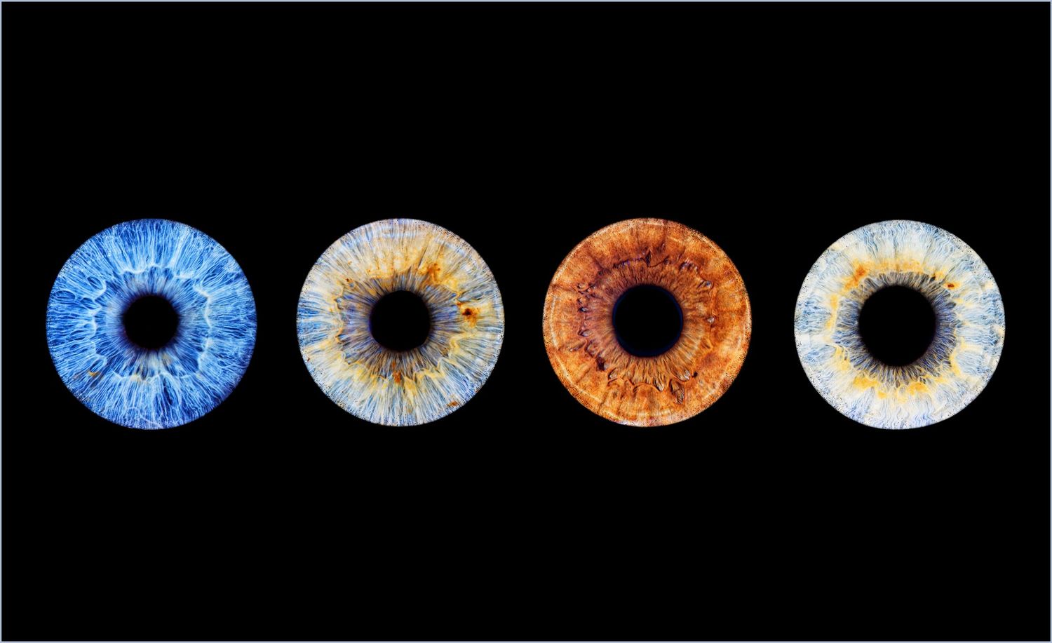 Close-up iris photography artwork captured by Nicola in Woodside, Glenrothes. Detailed macro image of a human eye showing unique natural pat