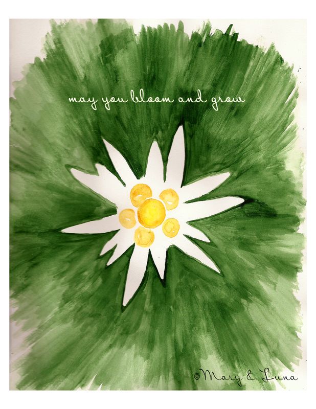 watercolor painting of edelweiss. digital text says "may you bloom and grow"