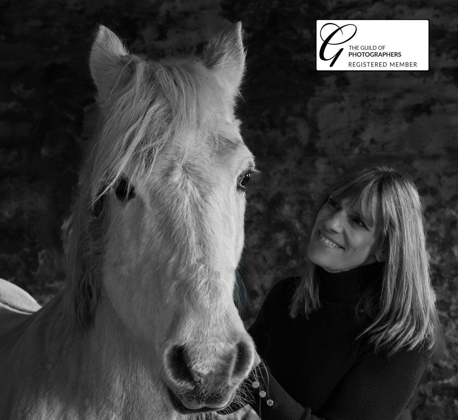 Equine portrait photography in County Durham